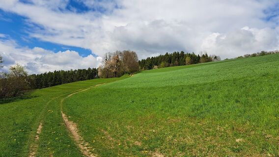 Photo de Roland Meitz le long du parcours