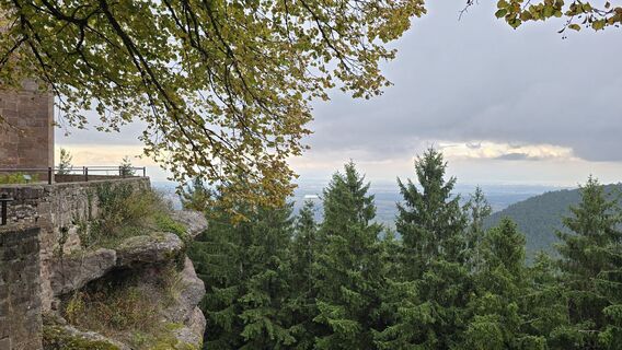 Foto de Katja Senkel a lo largo del recorrido