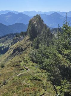 Foto de Gudrun Lippert a lo largo del recorrido