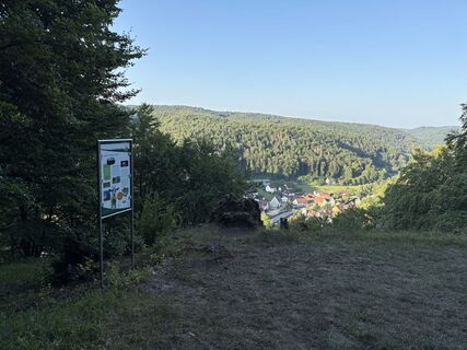Blick über Hirschbach am Prinz-Leopold-Turm