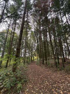 Foto de Stefan Rohringer a lo largo del recorrido