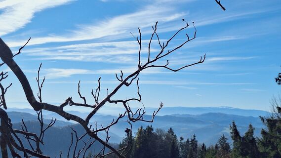 Fotografija s spletne strani Regina Fleischmann na poti