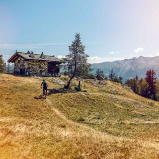 Mountainbiker im Moosalpregion