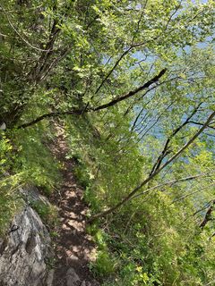 Fotografia z Heikoala na trase