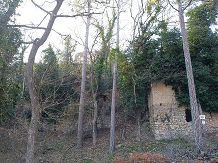 Foto von Bergpirat entlang der Tour