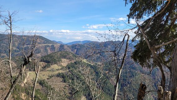 Foto von Juliane Jarke entlang der Tour