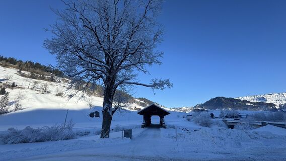 Fotografia z peter_oe na trase