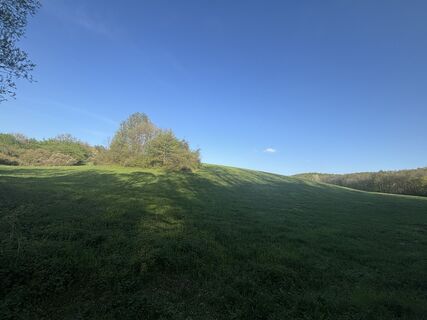 Foto de Reti Alicia a lo largo del recorrido