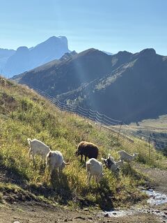 Foto von Cathy.Coste entlang der Tour