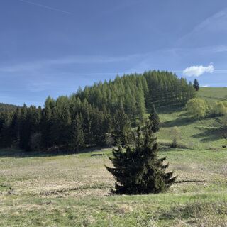 Photo de Steffen Kiesel le long du parcours