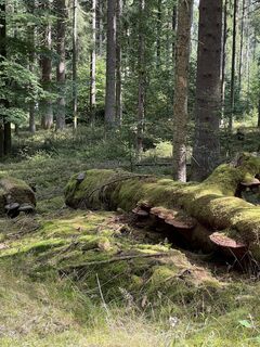 Fotografija s spletne strani Martinlehner128 na poti