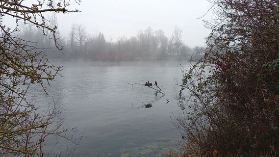 Zdjęcie z Britta Becker wzdłuż trasy