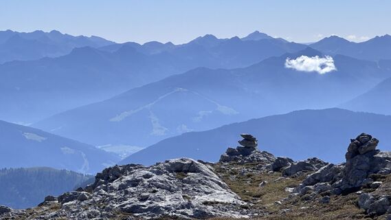 Fotografija s spletne strani Mountain Cat ? ⛰️ na poti