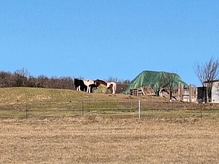 Fotografia z Andrea Roschek na trase