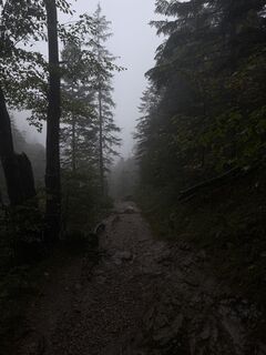 Zdjęcie z снепик . wzdłuż trasy