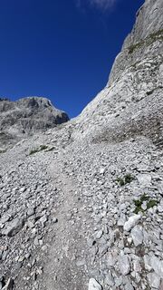 Photo de Mountain Cat ? ⛰️ le long du parcours