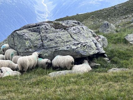Foto von Simon Oeschger entlang der Tour