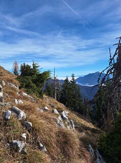 Fotografija s spletne strani Dagmar Hofer na poti