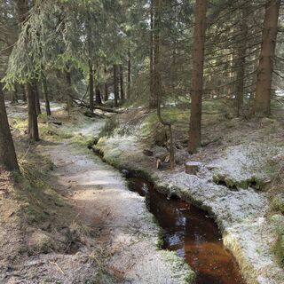 Fotografia z Steffen Kiesel na trase
