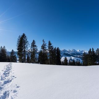 Aussicht auf die Churfirsten