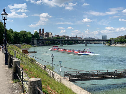 Blick von Birsfelden auf Basel Altstadt