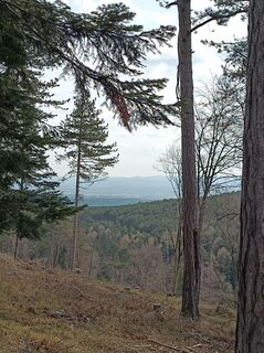 Foto de Bergpirat a lo largo del recorrido
