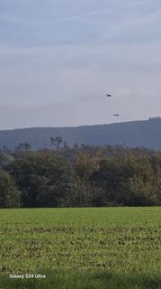 Zdjęcie z Edit Szoboszlay wzdłuż trasy