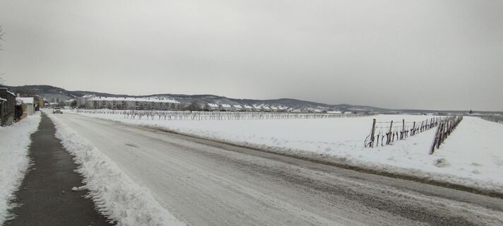 Foto von Christine Fischer entlang der Tour