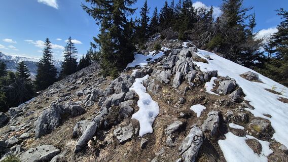 Fotografia z Patrick82 na trase