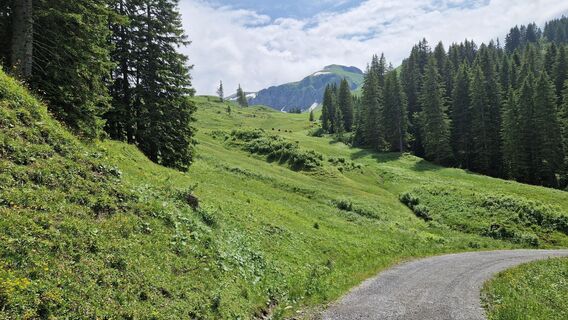 Fotografie z Gerrit van der Linde na trase