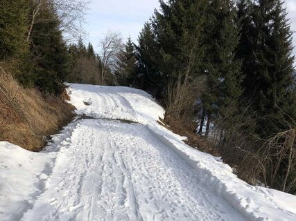 Winterwanderweg-Sonnenreinweg(Deutschmann-Hubert)2048x1536PX.jpg
