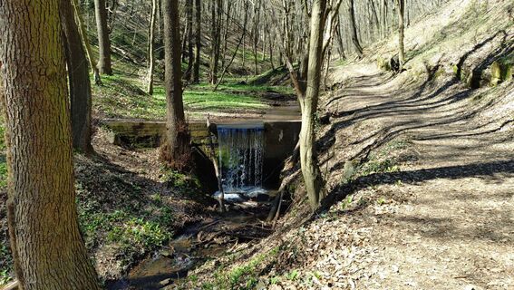 Foto de István Gábor 1 a lo largo del recorrido