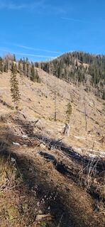 Foto von Nora entlang der Tour