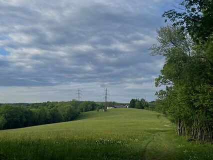 Foto de Georg B. Meier a lo largo del recorrido