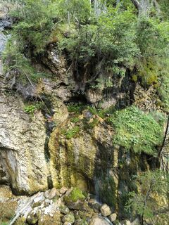 Photo de Poschacher le long du parcours