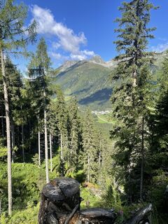 Foto von Ralf Umminger entlang der Tour