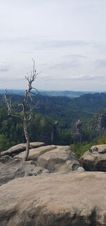 Foto fra Moni undervejs på turen