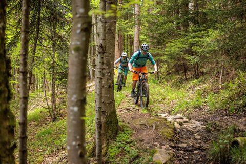Shared Trail Bad Goisern am Fuße des Predigstuhls