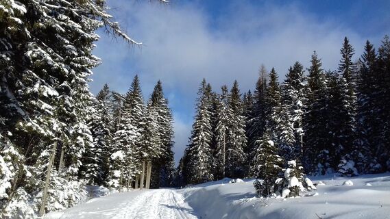 Teufelsteinwanderung im Winter_Fischbach_Oststeiermark