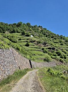 Zdjęcie z Frellie wzdłuż trasy