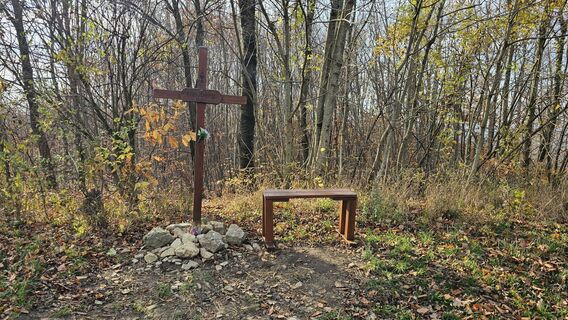 Fotografia z Alexandra Stani na trase