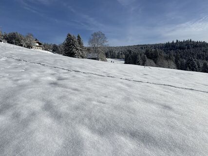 Foto von E Baldinger entlang der Tour