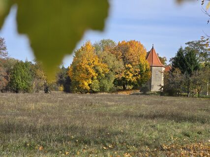 Fotografija s spletne strani enipeus 65 na poti