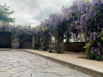 Ochsenbastei und Ochsenzwinger, Görlitz