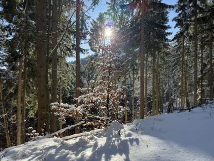 Photo de Norbert Herbig le long du parcours