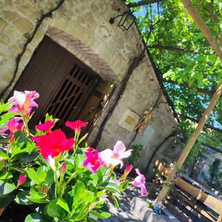 Kellergasse Purbach am Neusiedler See