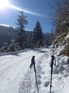 Photo de brimo le long du parcours