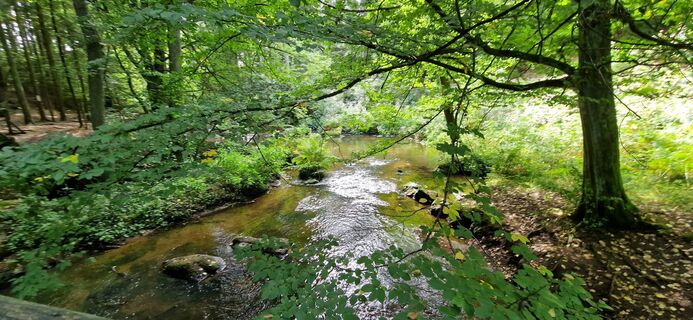 Foto von Zsuzsa Szàntó entlang der Tour