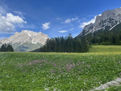 Foto von One T entlang der Tour