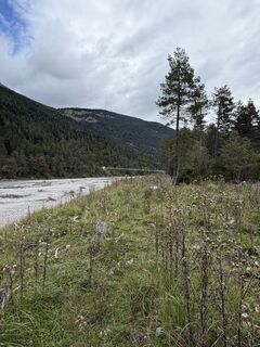 Photo de WanderMaus le long du parcours